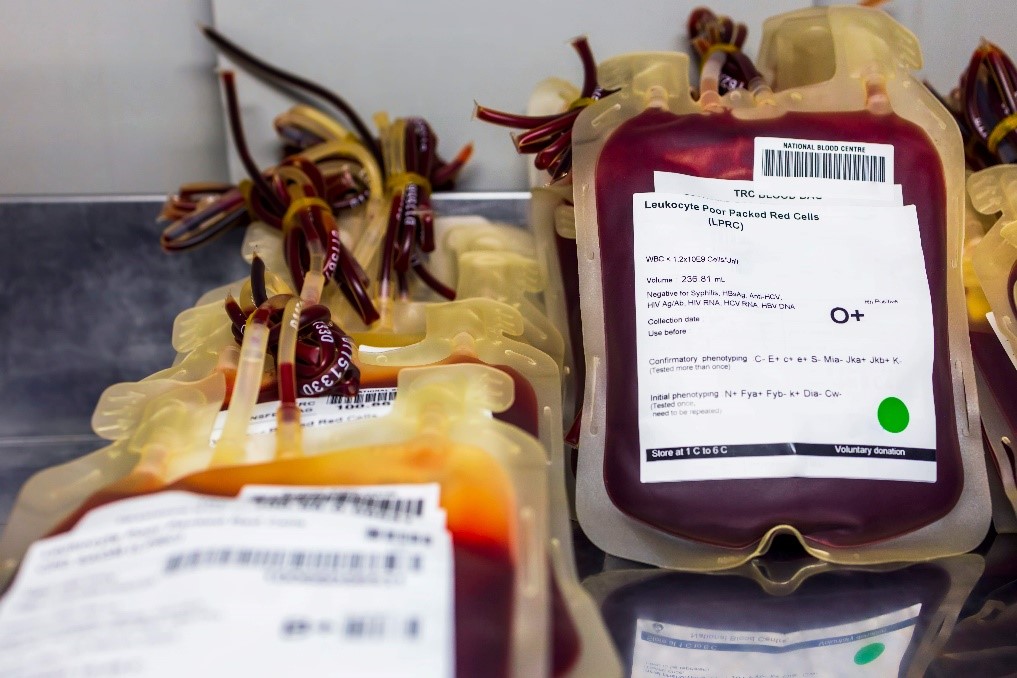 Brasil descarta de 10% a 20% das doações de sangue por falhas de conservação ou contaminação