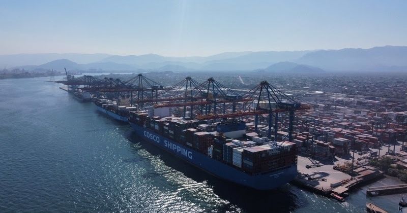 Santos Brasil abre inscrições para Programa de Estágio 2025 com vagas em SP e PA