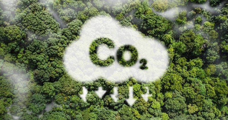 Sistema Transporte assume protagonismo na COP30 com foco na descarbonização e inovação logística