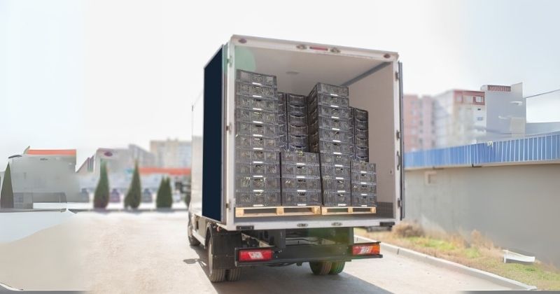 Embalagens reutilizáveis reduzem perdas no transporte de alimentos e ganham espaço no setor de FLV, explica HB Pooling