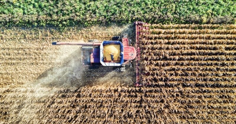 Distribuição de insumos agropecuários no Brasil fatura R$ 167 bilhões em 2024, aponta Andav