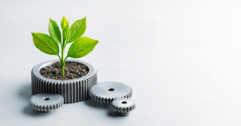 Casos de sucesso em sustentabilidade na logística: modelos pioneiros e inovações inspiradoras