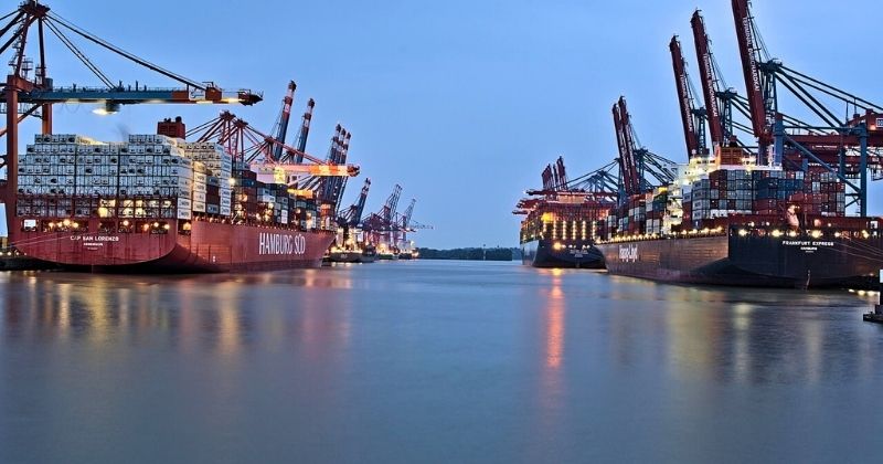 Avicultura brasileira investe em tecnologia e logística para ampliar rastreabilidade