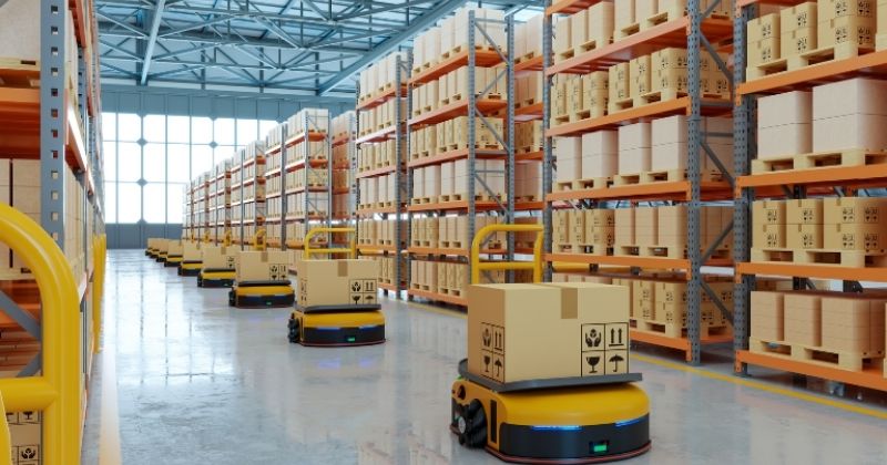 Contratações temporárias na Black Friday impulsionam a logística do e-commerce, mostra startup Petina