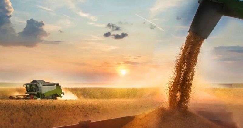 Safra de verão 2025/26: gargalos logísticos desafiam escoamento agrícola e exigem investimentos em infraestrutura