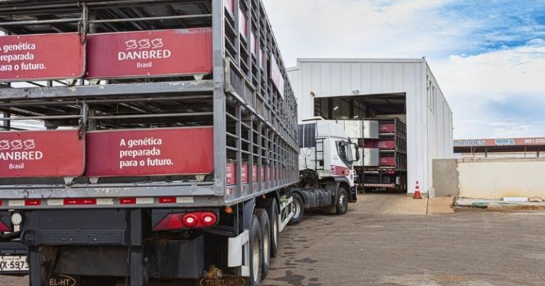 Tadd Com TADD System, DanBred Brasil eleva biossegurança e aumenta em 30% a ...