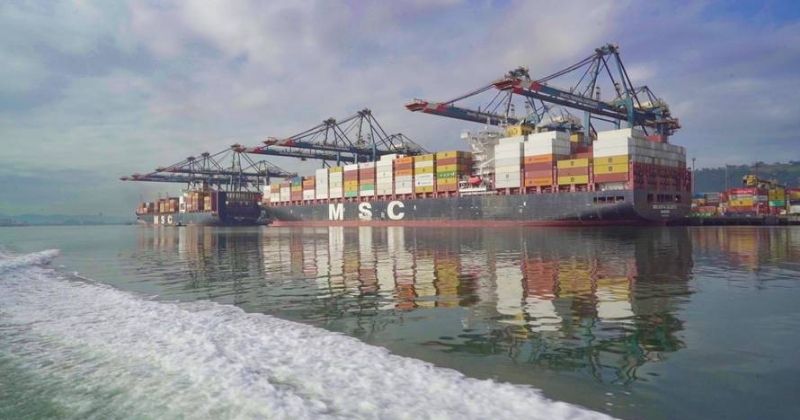 Porto de Santos cresce 11,6% na movimentação de contêineres em outubro e registra recorde histórico