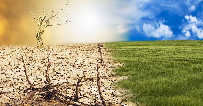 CNT revela impactos das mudanças climáticas no setor de transporte