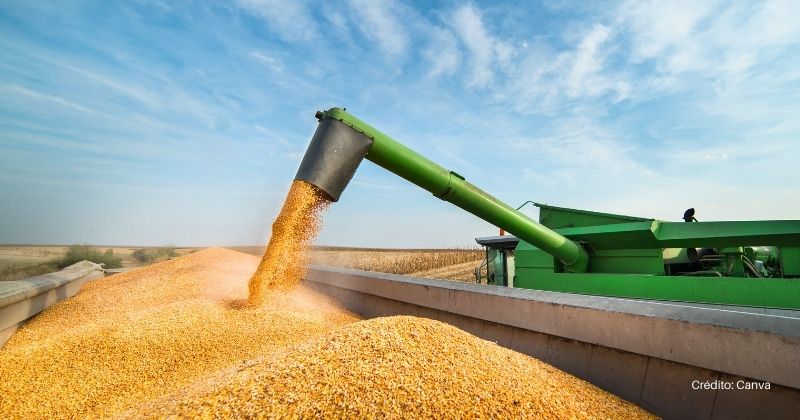 Déficit de armazenagem redefine o mercado de grãos no Brasil em meio à safra recorde, analisa Biond Agro