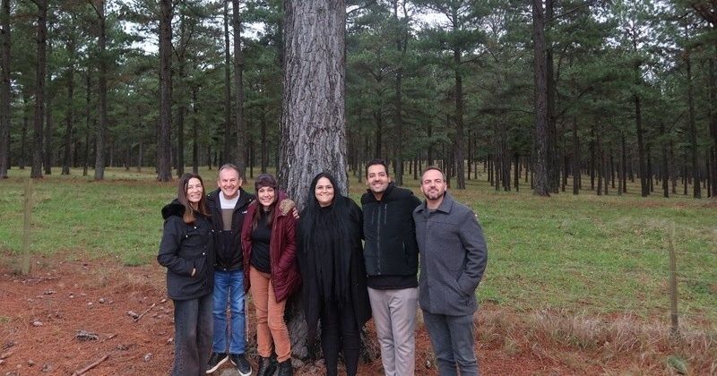 Compensação de CO2 no transporte de cargas impulsiona novo projeto da Tokio Marine no seguro de cargas