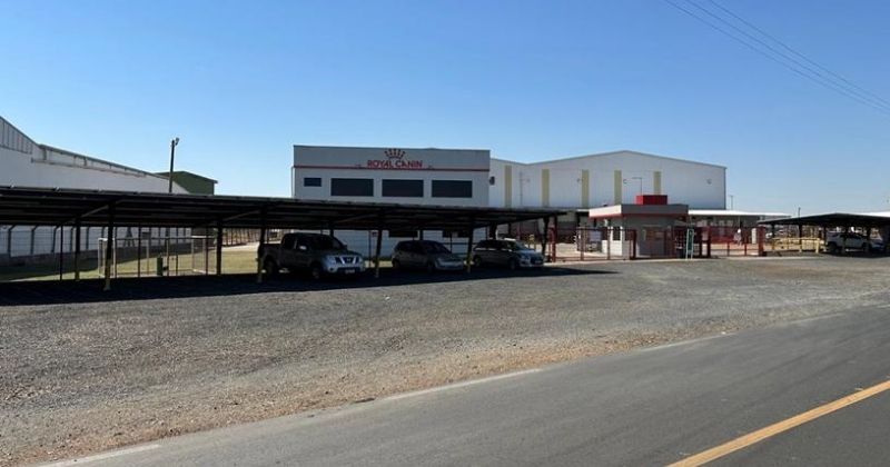 Modernização logística na Royal Canin ampliou a agilidade no pós-pandemia sem elevar custos operacionais