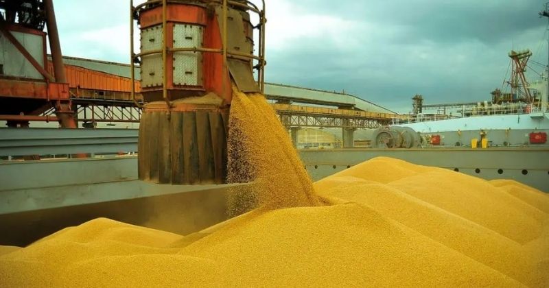 Exportações de milho enfrentam risco com guerra no Oriente Médio e exigem certificação fitossanitária para redirecionamento de navios