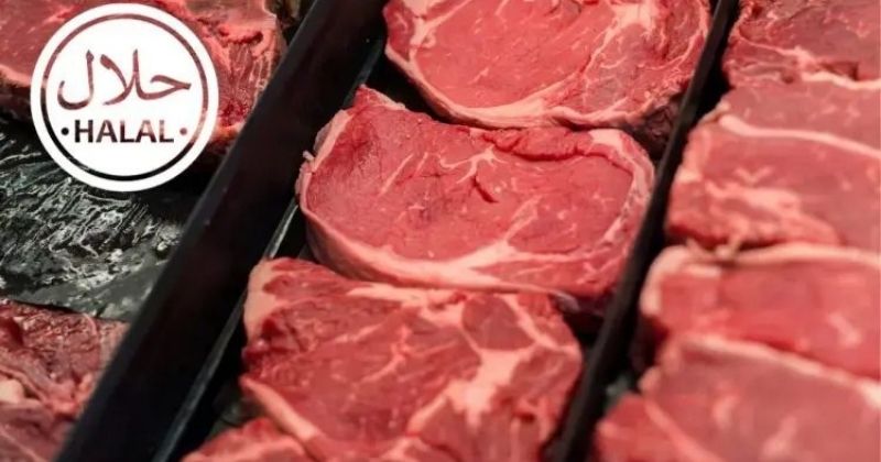 Exportações brasileiras ao Golfo recuam em abril, mas agronegócio mantém crescimento nas vendas