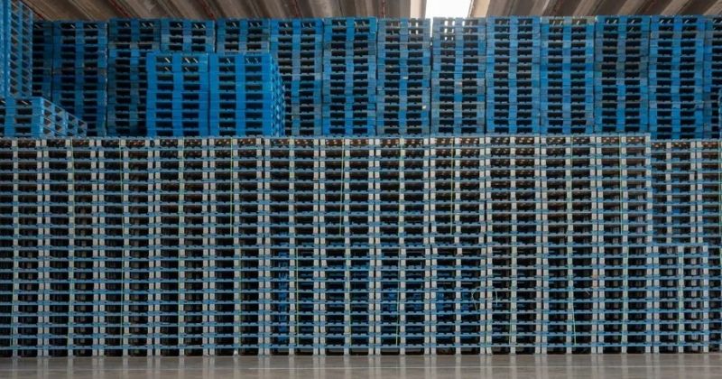 Pooling de paletes com a CHEP amplia eficiência logística do Grupo Piracanjuba