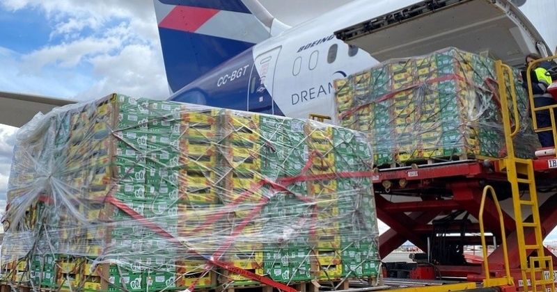 LATAM Cargo amplia eficiência no e-commerce e impulsiona exportações de frutas com expansão da conectividade internacional